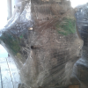 Toyota engine 1.8 NEW head block and sump (2zr)