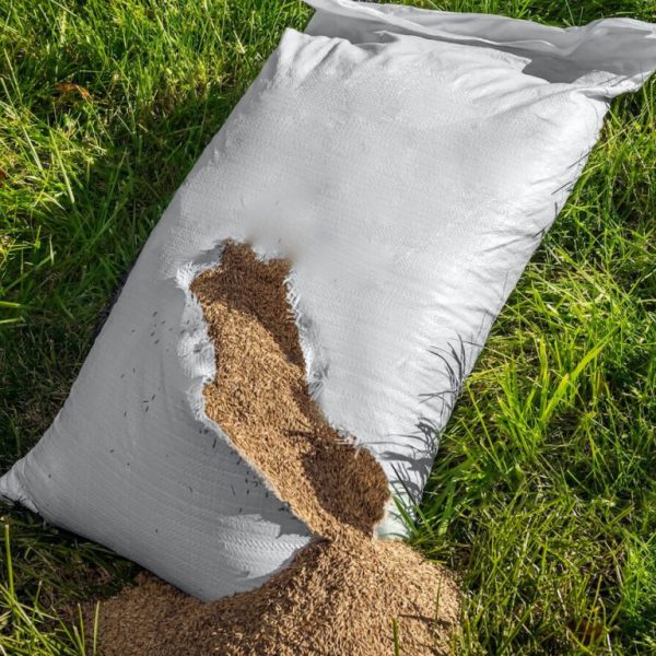 Bag-of-grass-seed-1024x768