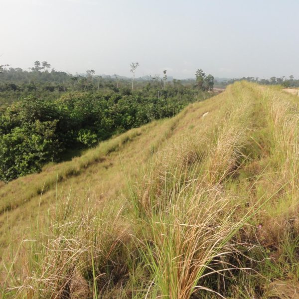 Nkok Site - Jan 2014-6