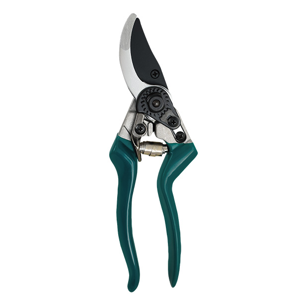 Pruning Shears