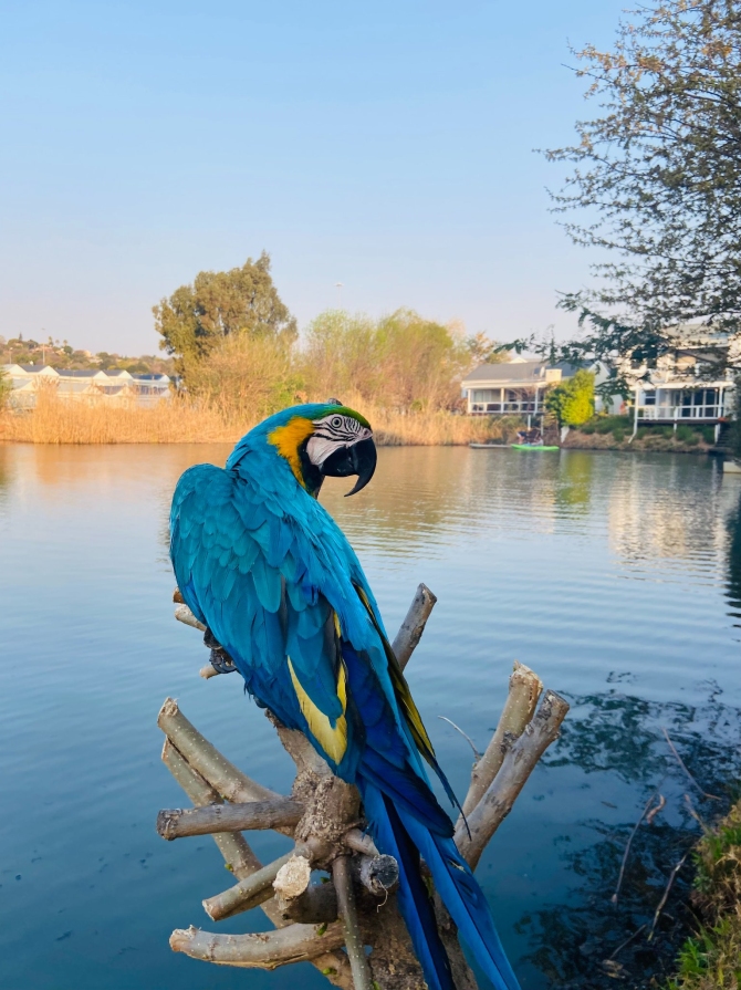 leisure-bay-18
