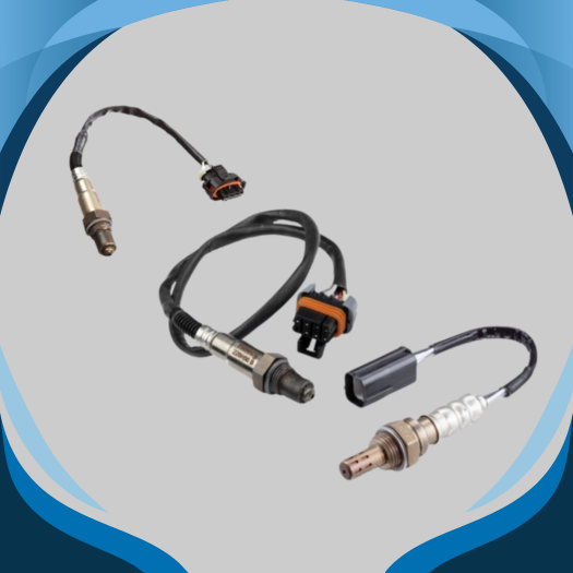 Oxygen Sensors