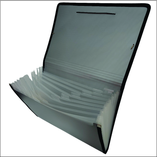 BF 318 Plain Eagle PP Case with Compartments