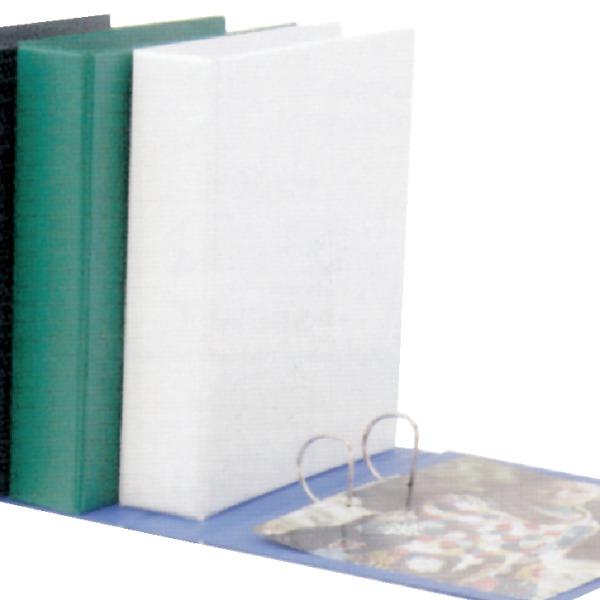 102 D 215 Pvc 2 Hole 25mm Ring Binder