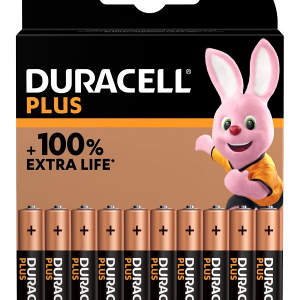 LR03 / MN2400 Duracell Basic AAA Simply